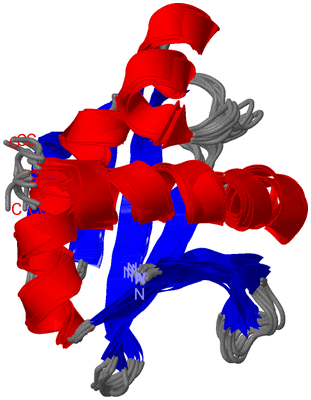 Image NMR Structure - all models