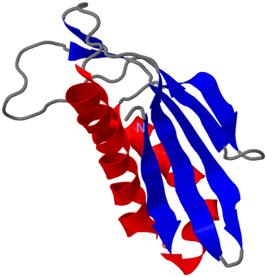 Image NMR Structure - model 1