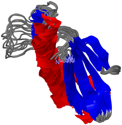 Image NMR Structure - all models