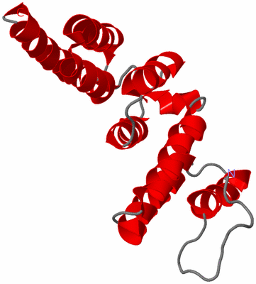 Image NMR Structure - model 1