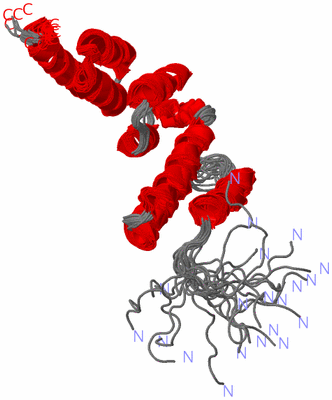 Image NMR Structure - all models