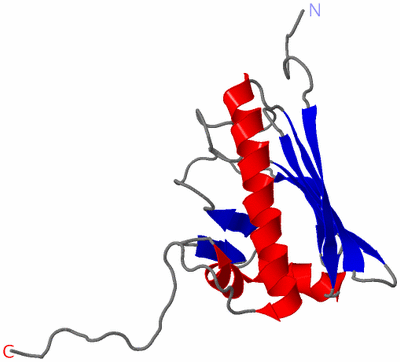 Image NMR Structure - model 1