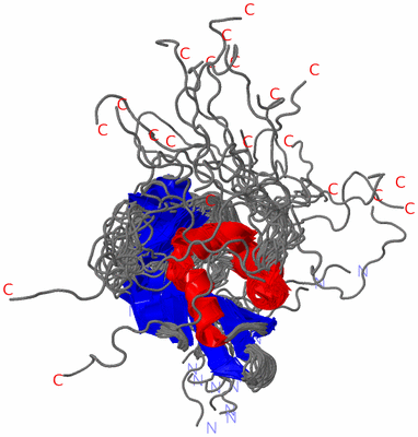 Image NMR Structure - all models