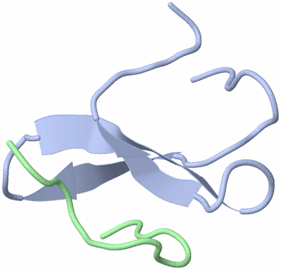 Image NMR Structure - model 1