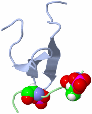 Image NMR Structure - model 1