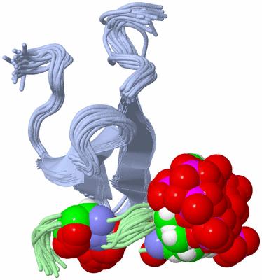 Image NMR Structure - all models