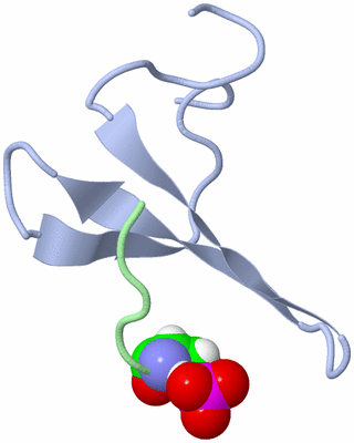 Image NMR Structure - model 1