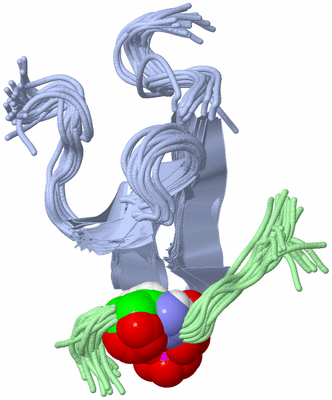 Image NMR Structure - all models