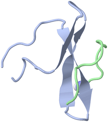 Image NMR Structure - model 1