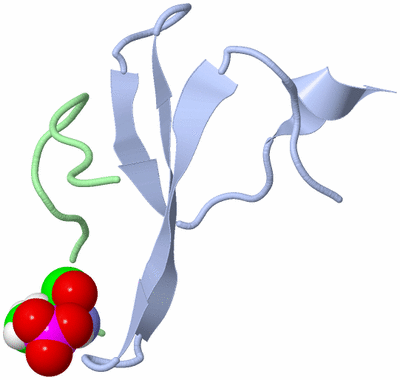 Image NMR Structure - model 1