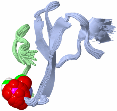 Image NMR Structure - all models