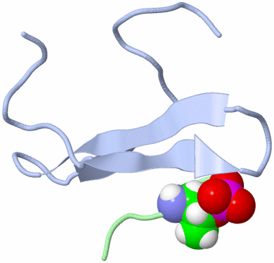 Image NMR Structure - model 1