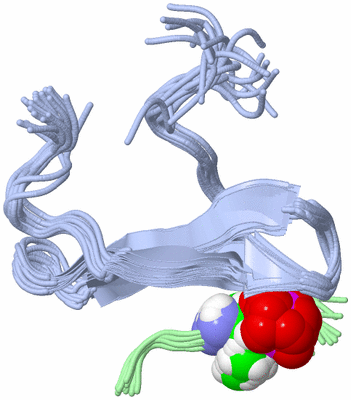 Image NMR Structure - all models