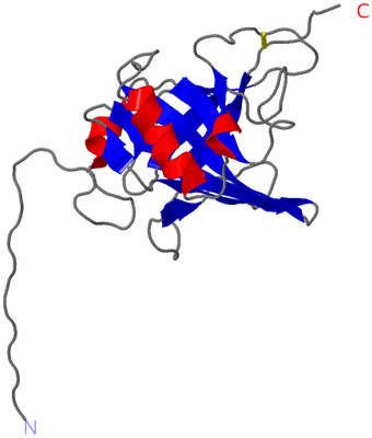 Image NMR Structure - model 1