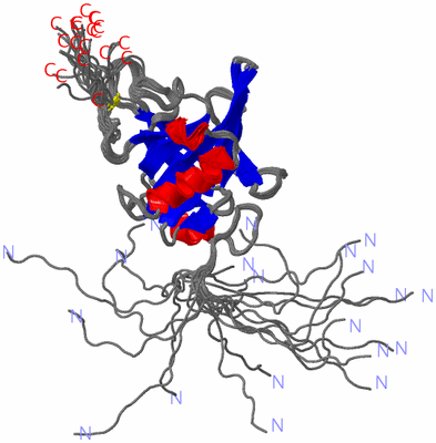 Image NMR Structure - all models