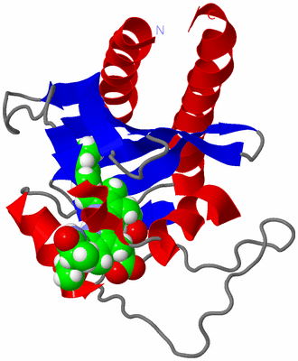 Image NMR Structure - model 1