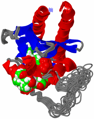 Image NMR Structure - all models