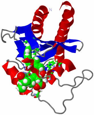 Image NMR Structure - model 1, sites