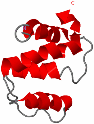 Image NMR Structure - model 1