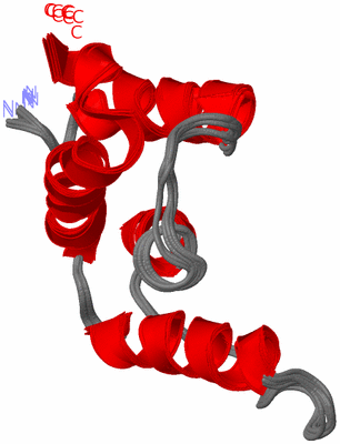 Image NMR Structure - all models