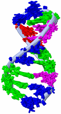 Image NMR Structure - all models