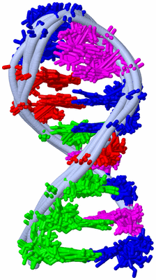 Image NMR Structure - all models