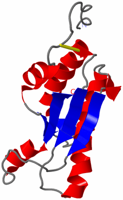 Image NMR Structure - model 1