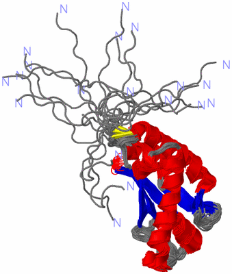 Image NMR Structure - all models