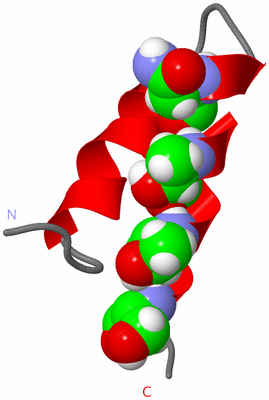 Image NMR Structure - model 1