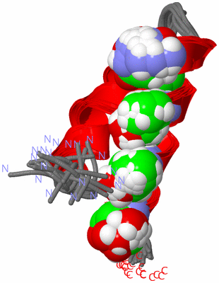 Image NMR Structure - all models