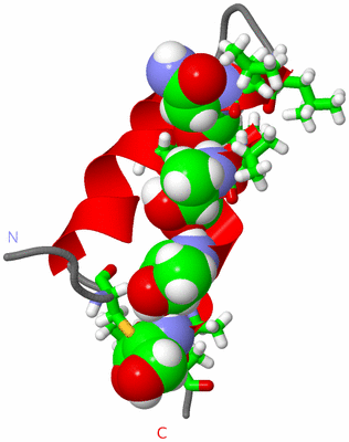 Image NMR Structure - model 1, sites