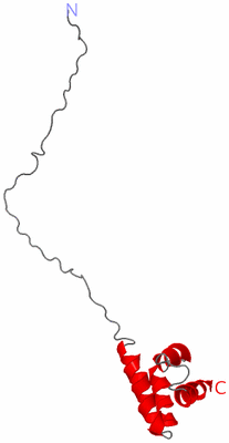 Image NMR Structure - model 1
