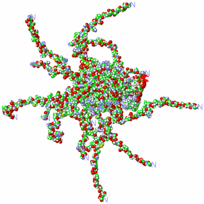 Image NMR Structure - all models