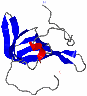 Image NMR Structure - model 1