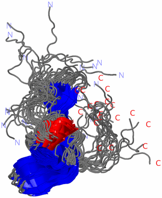 Image NMR Structure - all models