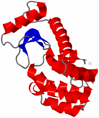 Image NMR Structure - model 1