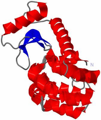 Image NMR Structure - all models