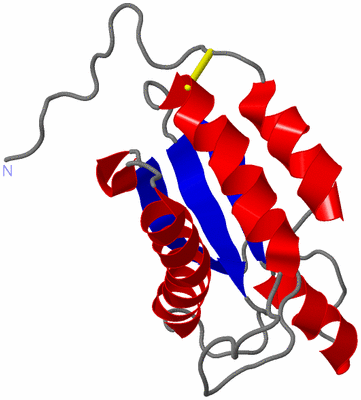 Image NMR Structure - model 1