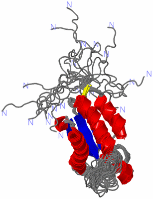 Image NMR Structure - all models