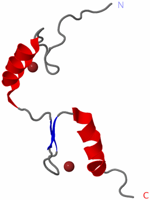 Image NMR Structure - model 1