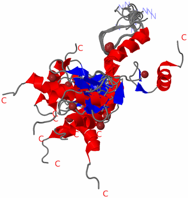 Image NMR Structure - all models