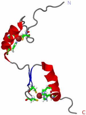 Image NMR Structure - model 1, sites