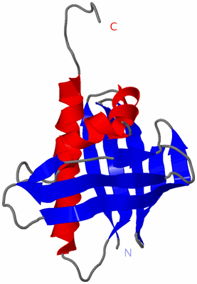 Image NMR Structure - model 1