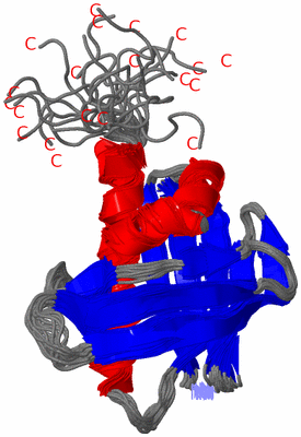 Image NMR Structure - all models