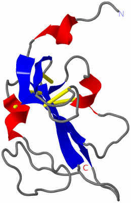 Image NMR Structure - model 1