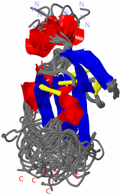 Image NMR Structure - all models