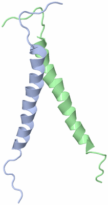 Image NMR Structure - model 1