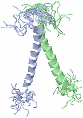 Image NMR Structure - all models