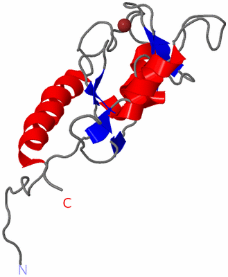 Image NMR Structure - model 1