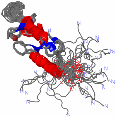 Image NMR Structure - all models